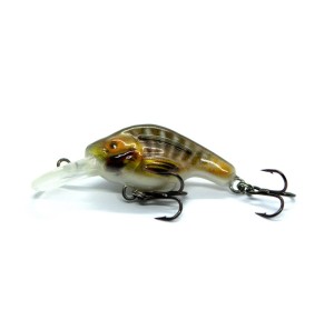 OMEGA - BROWN & STRIPES - F - 4,7cm