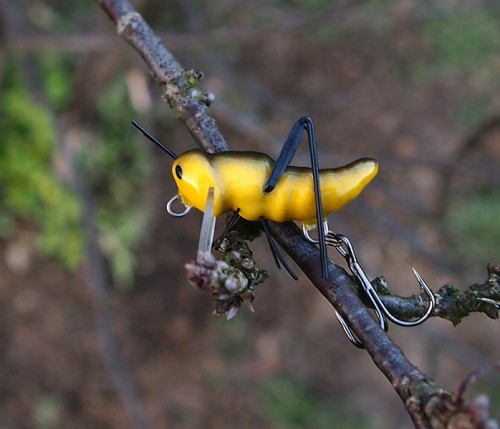 KONIK POLNY - S - 3cm