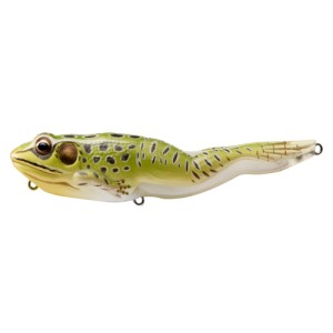 FROG POPPER - GREEN/YELLOW - 10,5cm