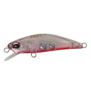 TETRA WORKS TOTO - CLEAR RED BELLY - S - 4,8cm