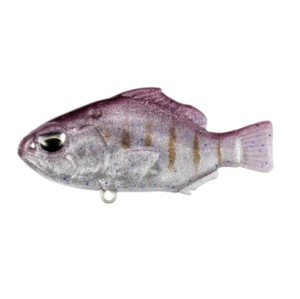 NOMASE GILL - VIOLET GILL - 5,6cm