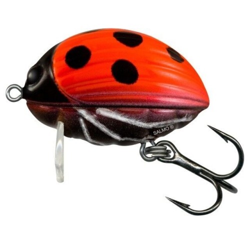 LIL BUG - 2F - LADYBIRD - 2cm