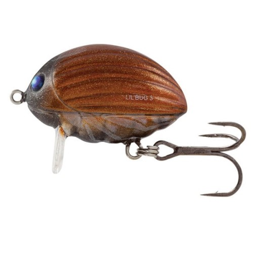 LIL BUG - 2F - MAY BUG - 2cm