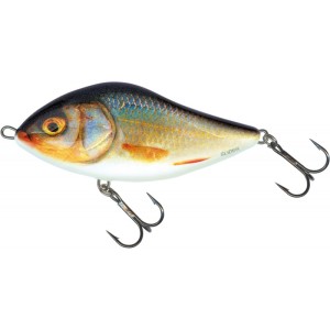 SLIDER - S - REAL ROACH - 7cm