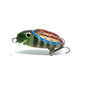 CHRABĄSZCZ XXL - F - 3,5cm