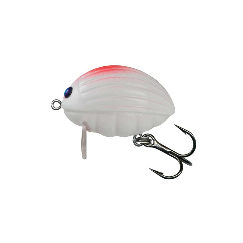 LIL BUG - 2F - HINOMARU - 2cm