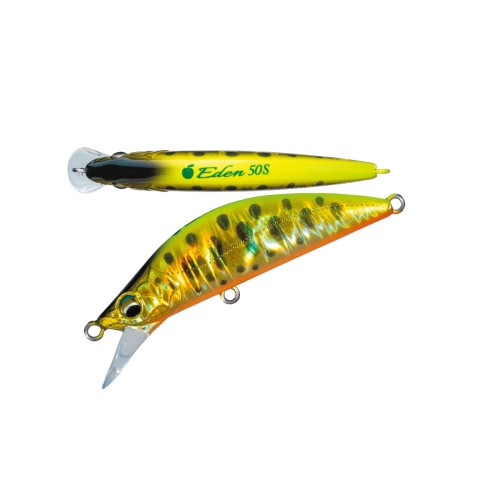 EDEN - GOLD CHART YAMAME - 5cm