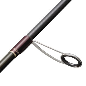 FINETAIL BEGINS  | 2,18m | 2-12g