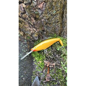 UGLY DUCKLING - 13cm