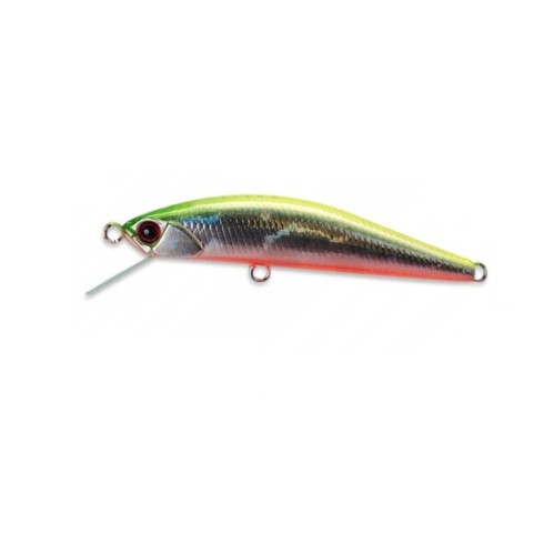 GRACE MINNOW ELENA - F - 5cm