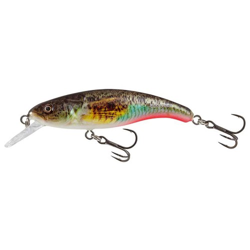 SLICK STICK - F - SUPERNATURAL GOBIE - 6cm