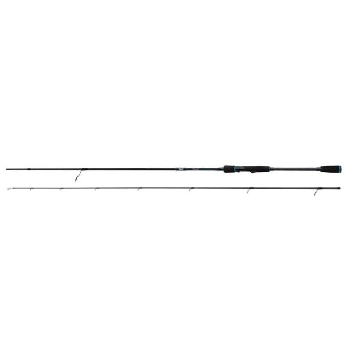 SALMO HORNET PRO HEAVY | 2,40m | 20 - 60g