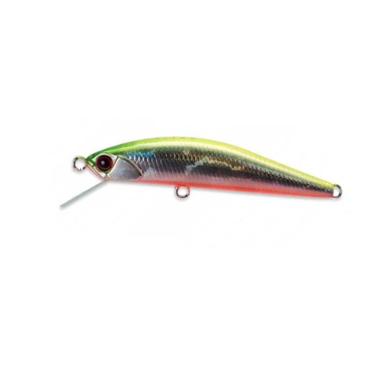 GRACE MINNOW ELENA - F - 5cm