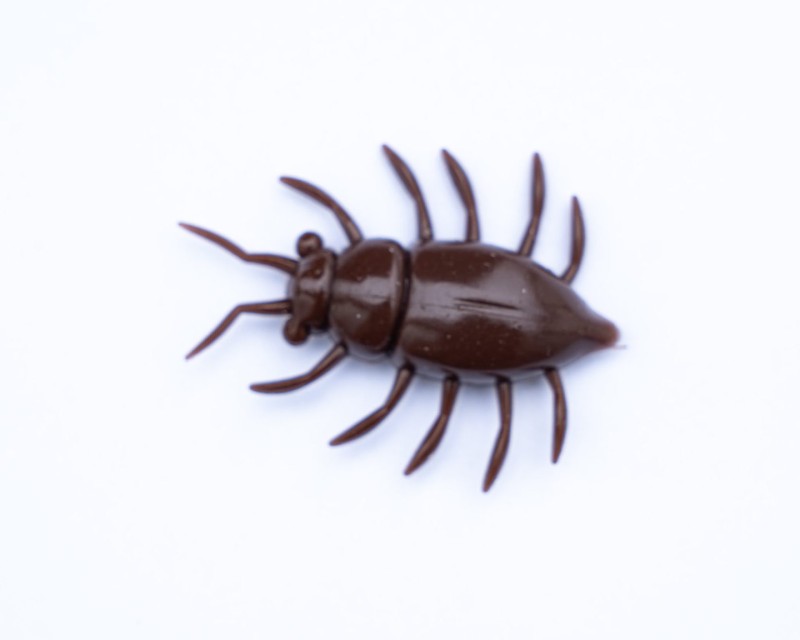 MAYBUG - CHAOS - 3,2cm