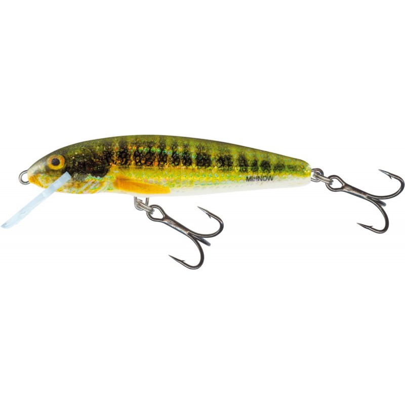 MINNOW - 7F - HOLO REAL MINNOW - 7cm