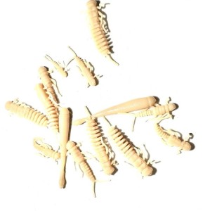 PRO PACK - ZESTAW STARTOWY - MIX