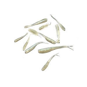 PRO PACK - ZESTAW STARTOWY - MIX