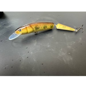 LOVEC RAPY - BARBEL - 1szt