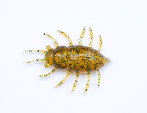 MAYBUG - CARAMEL GREEN & BLACK - 3,2cm