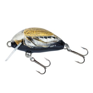 TINY - 3F - BLACK COCKCHAFER - 3cm