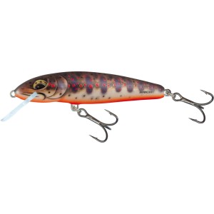 MINNOW - 7S - FRESH WATER MINNOW - 7cm