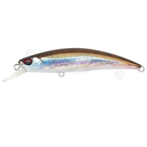 SPEARHEAD RYUKI - S - WAKASAGI - 6cm