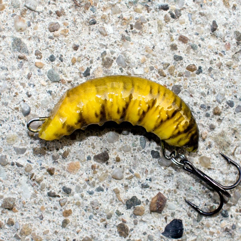 ROBAL - ŻÓŁTO CZARNY - S - 3,5cm