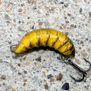 ROBAL - ŻÓŁTO CZARNY - S - 3,5cm