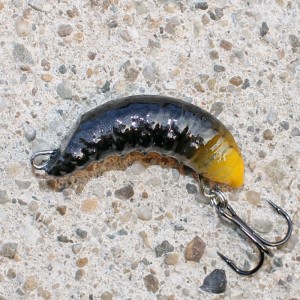 ROBAL - ŻÓŁTY TYŁ - S - 3,5cm