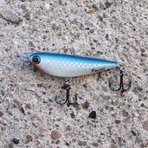 TOP MASTER - NIEBIESKI - F - 5cm