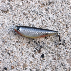 TOP MASTER - OGNISTY BRZUCH - F - 5cm