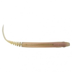 LANCETIC - AYU - 8,5cm