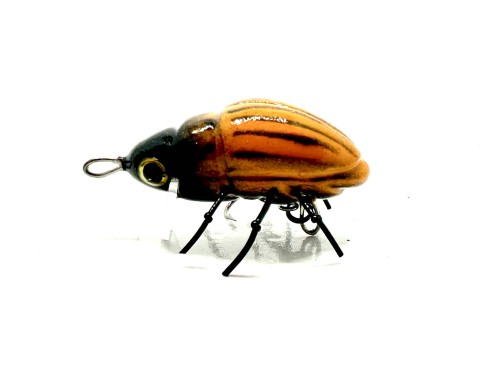 COLORADO BEETLE - F - 2,4cm