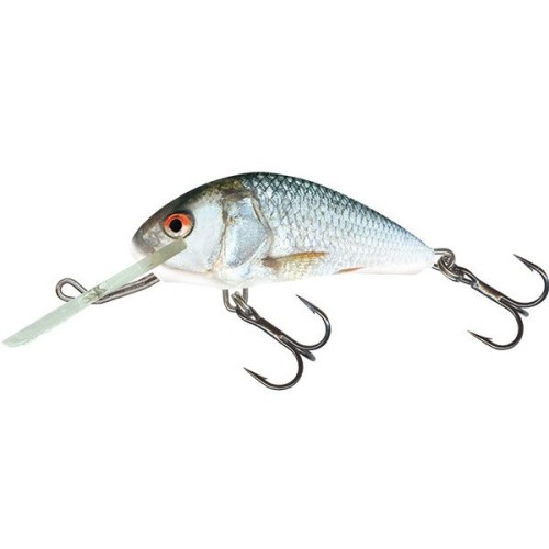 HORNET - 4F - REAL DACE - 4cm