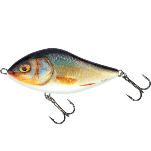 SLIDER - S - REAL ROACH - 5cm