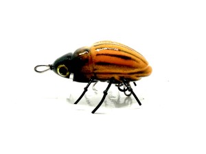 COLORADO BEETLE - F - 2,4cm