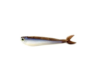 TWINKEY SHAD - 8,2cm