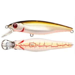 GREEDY GUTS - F - SR - CB NATURAL BROWN - 4,4cm