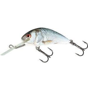 HORNET - 4F - REAL DACE - 4cm