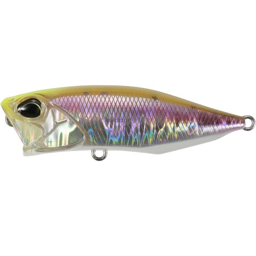 REALIS POPPER - SIGHT CHART WAKASAGI - 6,4cm