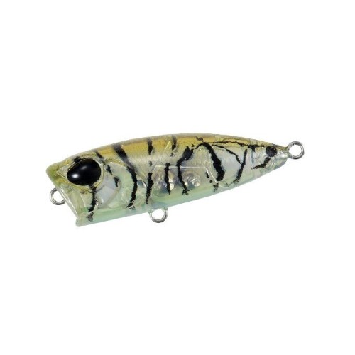 POCOPOCO - GOLD HEAD - 4cm