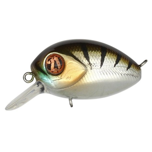 BABY RED RAG - SR - F - CRASH HG PERCH - 3,2cm