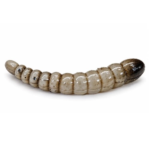 KORNIK - SZARY - 3,5cm