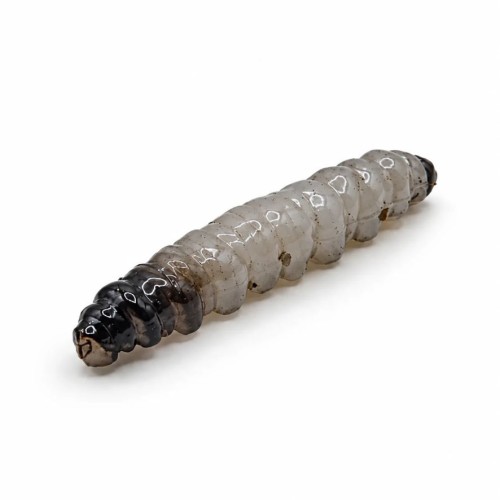 PĘDRAK - SZARY - 4cm