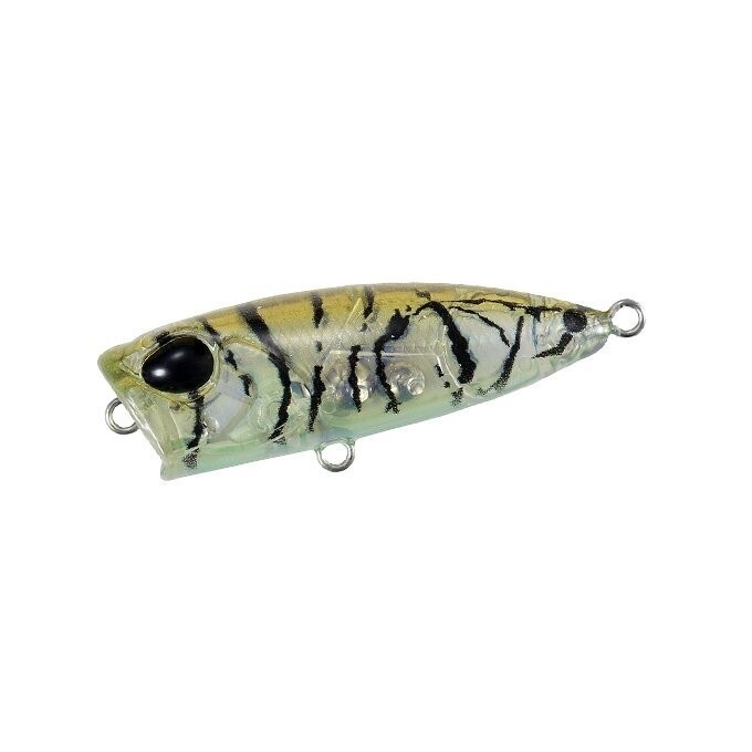 POCOPOCO - GOLD HEAD - 4cm
