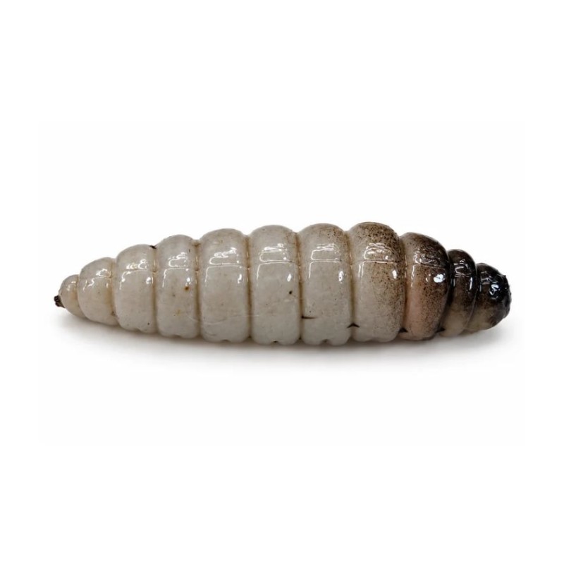 KOKON - SZARY - 4,5cm