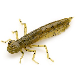 DRAGONFLY - GREEN PUMPKIN SEED - 2cm