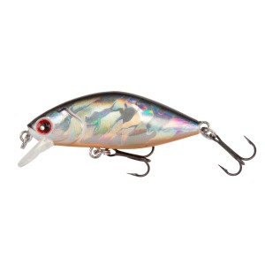 DELICIOUS - HOLO FREAK - S - 4,5cm