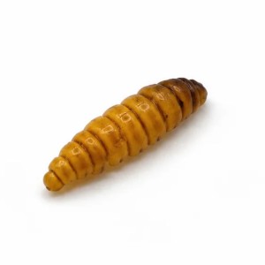 KOKON - BRĄZOWY - 4,5cm