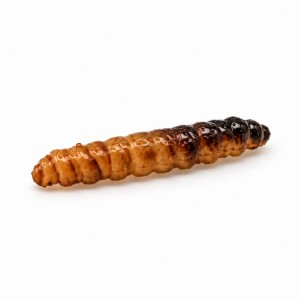 PĘDRAK - BRĄZOWY - 4cm